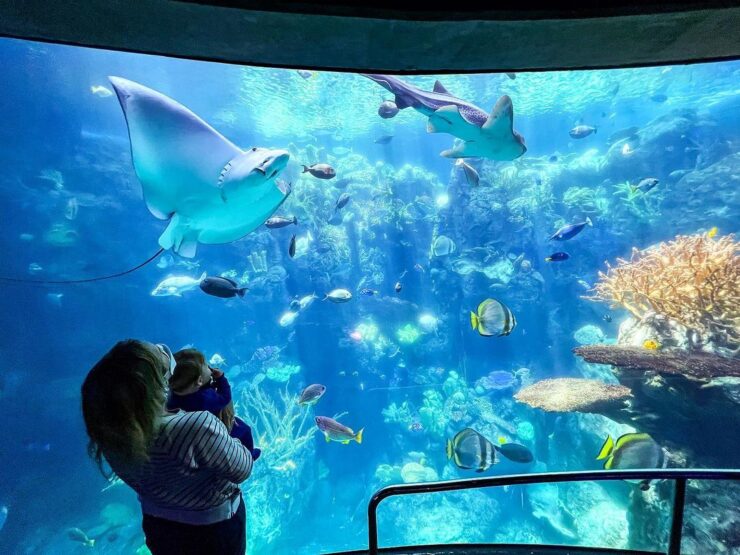 Aquarium of the Pacific